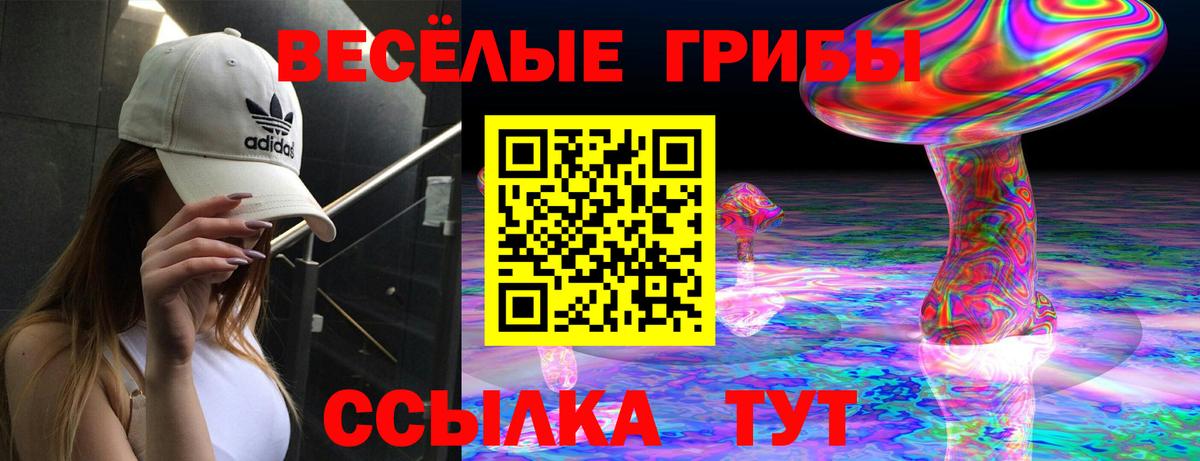 Галлюциногенные грибы Magic Shrooms Фролово